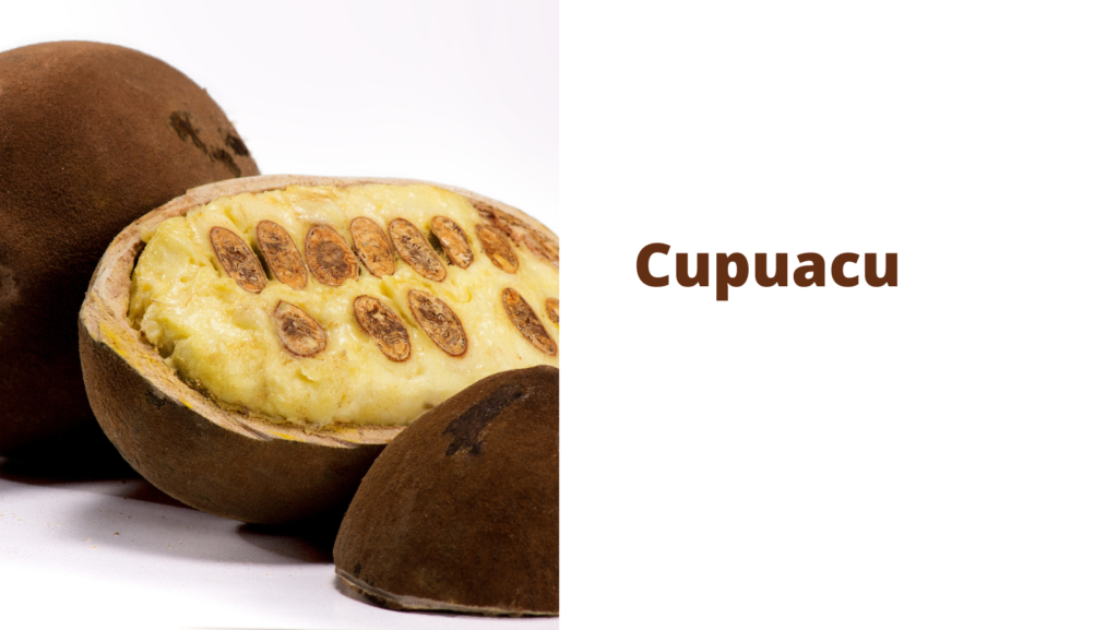 Cupuacu