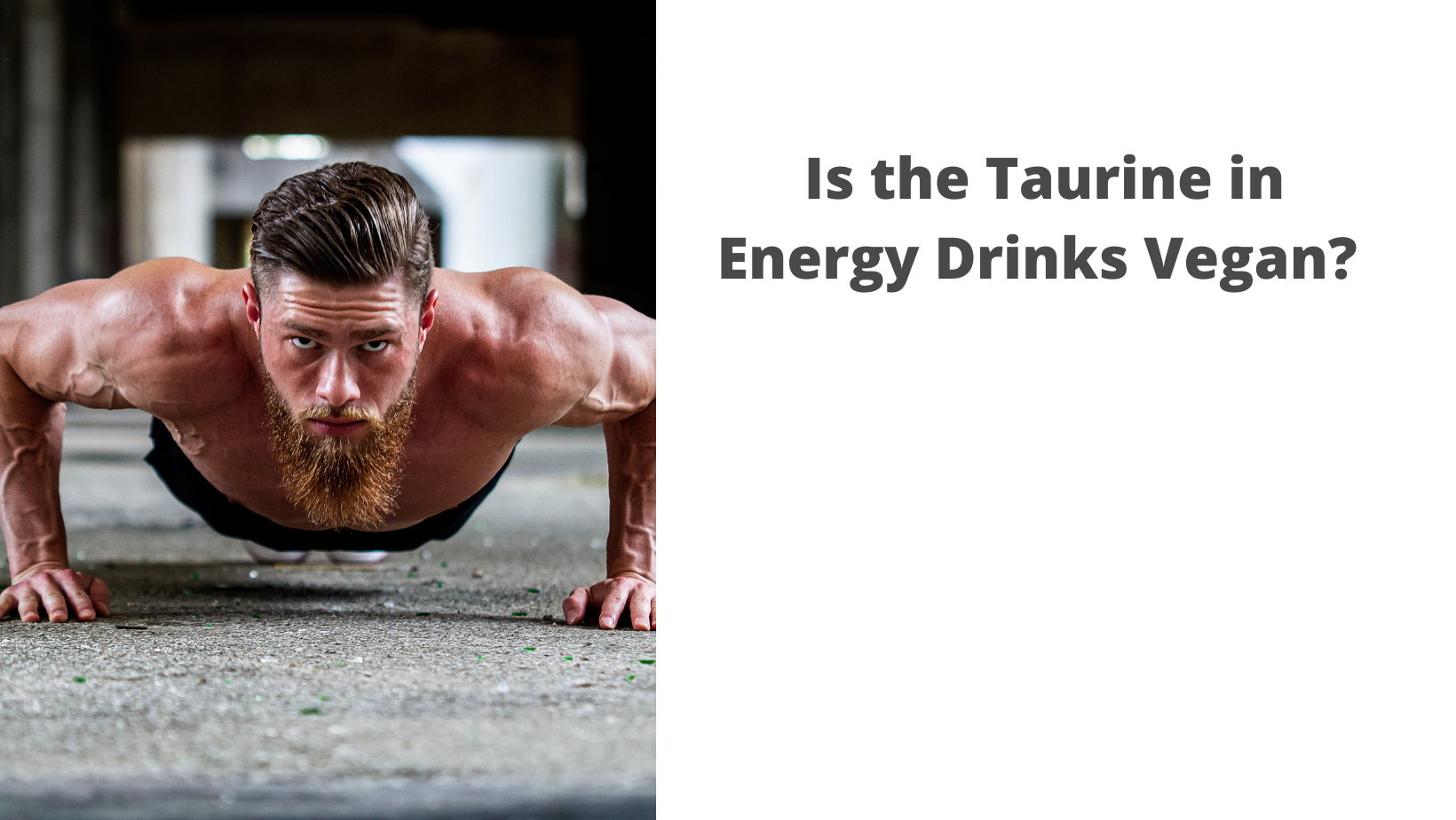 The Ultimate Guide to Vegan Energy Drinks in 2022 The Graceful Kitchen