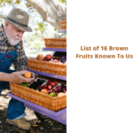 List of 16 Brown Fruits Known To Us - You Might Know Some