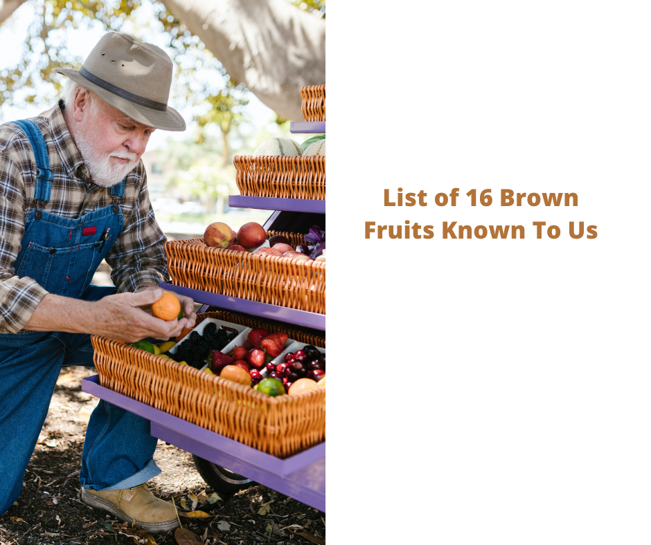 List of 16 Brown Fruits Known To Us – You Might Know Some
