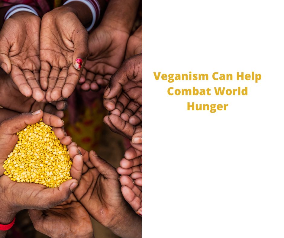 Veganism Can Help Combat World Hunger