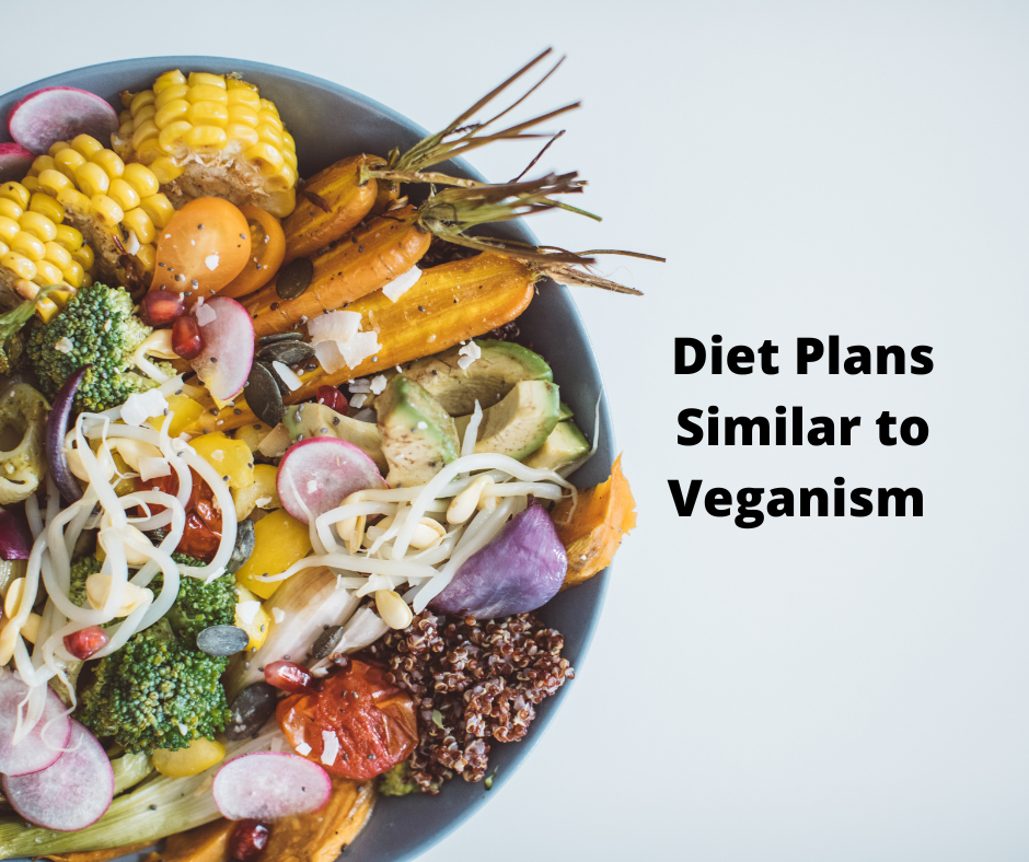 Diet Plans Similar to Veganism