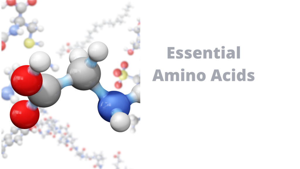 Essential Amino Acids