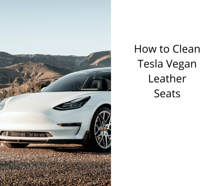 How to Clean Tesla Vegan Leather Seats The Graceful Kitchen