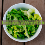 Is-Lettuce-a-Vegetable