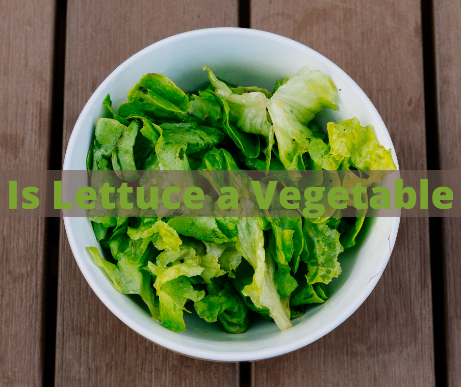 Is Lettuce a Vegetable