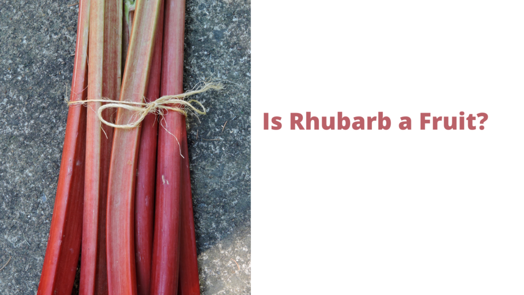 Is Rhubarb a Fruit? 