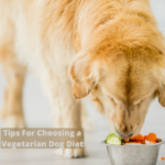 Tips-For-Choosing-a-Vegetarian-Dog-Diet