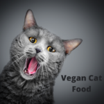 3 Important Facts You Should Know Before Giving Your Cat Vegan Cat Food