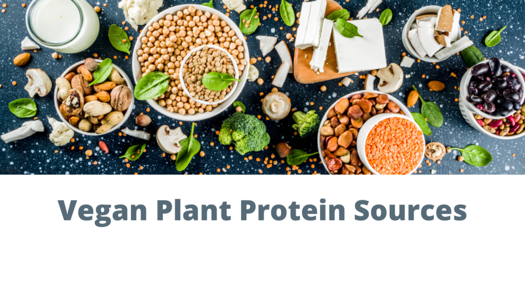 Vegan Plant Protein Sources
