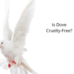 Is-Dove-Cruelty-Free