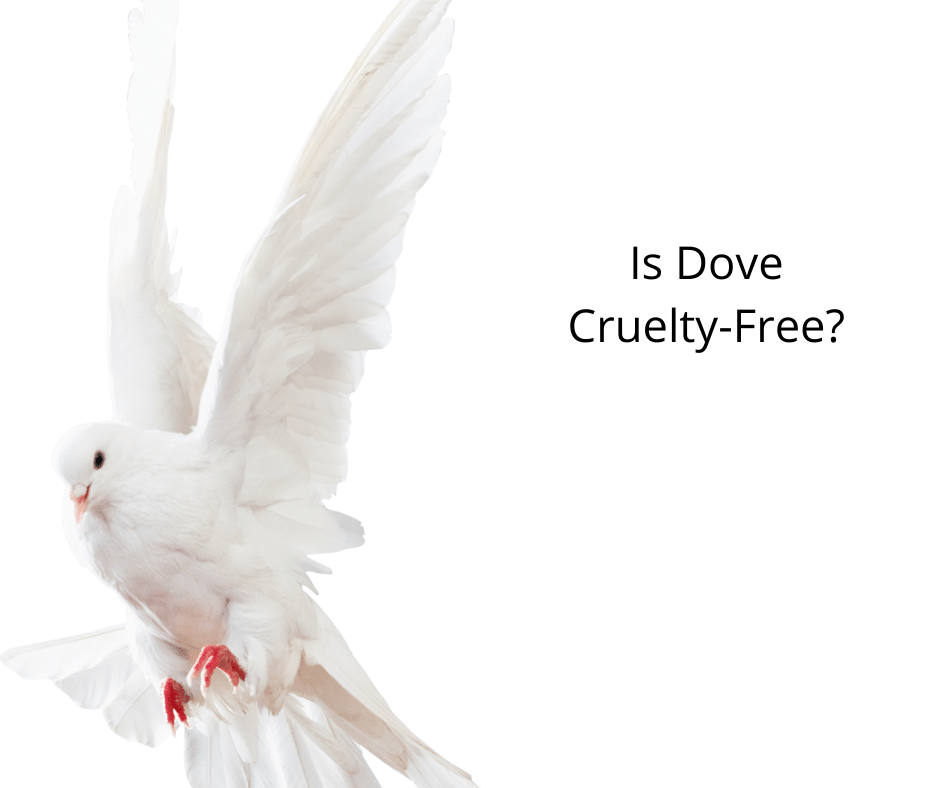 Is Dove Cruelty-Free?