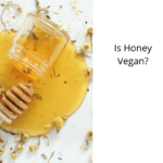 Is-Honey-Vegan