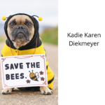 Kadie Karen Diekmeyer - A Vegan Teacher and Animal Rights Activist