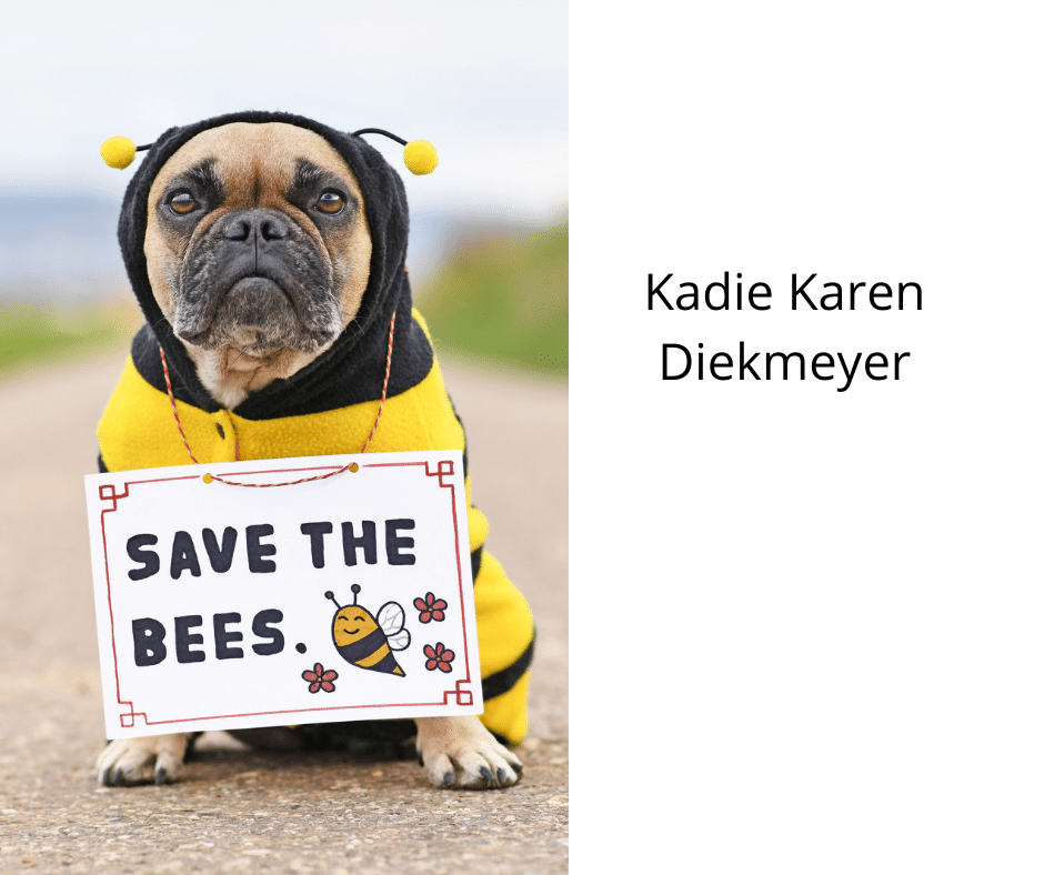 Kadie Karen Diekmeyer – A Vegan Teacher and Animal Rights Activist
