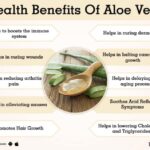 What Are Aloe Vera Benefits?