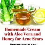 Honey and Aloe Vera Benefits For Diet and Weight Loss