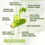 Is Celery Juice Good For Kidneys?