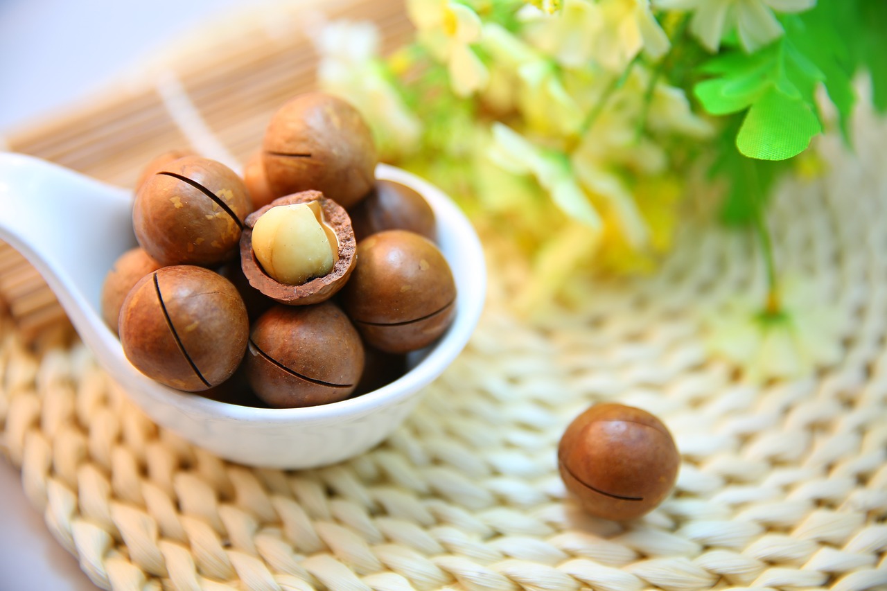 Macadamia Nuts – Which is Better Nutrition Raw Or Dry Roasted?
