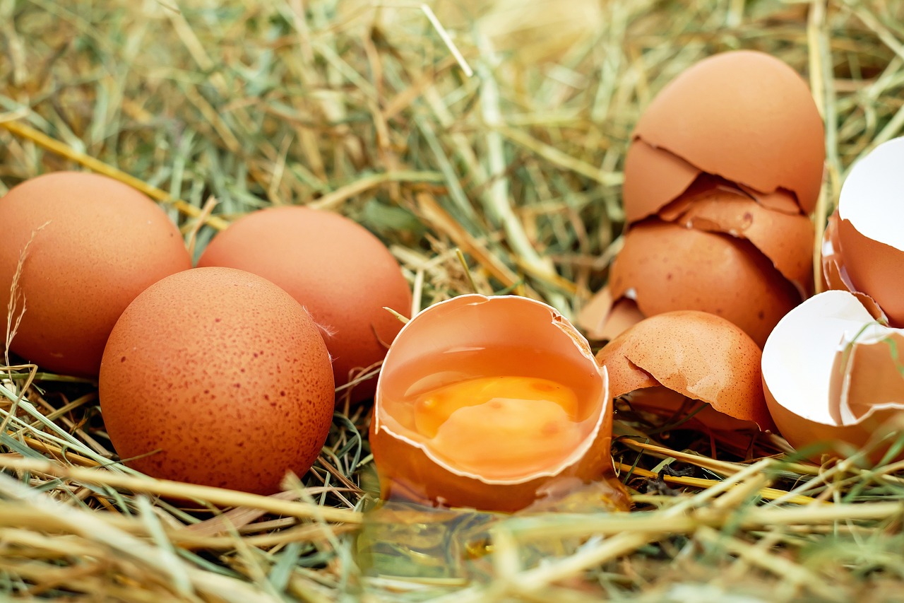 How is Biotin Bioavailability Affected by Raw Egg Consumption?
