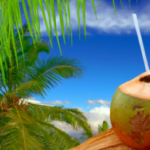 how-to-make-coconut-juice.png