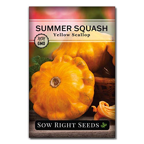 Sow Right Seeds - Yellow Scallop Summer Squash Seed for Planting - Non-GMO Heirloom Packet with Instructions to Plant a Home Vegetable Garden