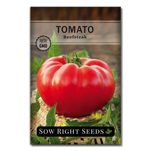 Sow Right Seeds - Beefsteak Tomato Seed for Planting - Non-GMO Heirloom Packet with Instructions to Plant a Home Vegetable Garden - Great Gardening Gift (1)