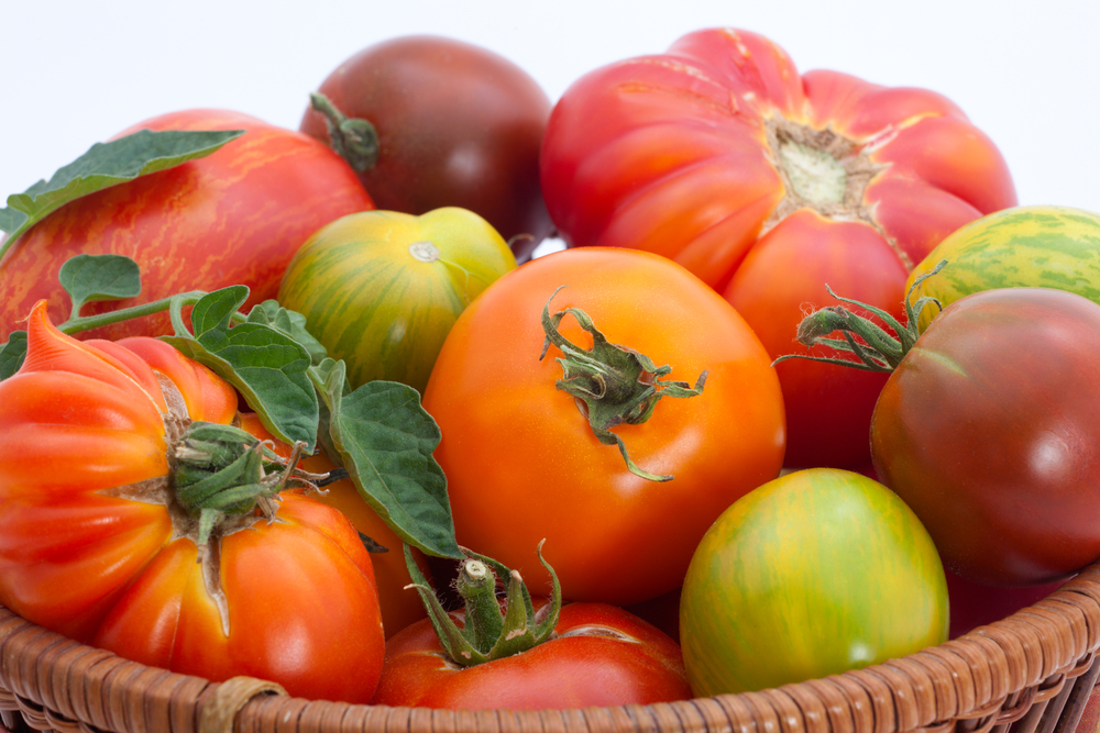 what the nutrition content of home grown tomatoes raw