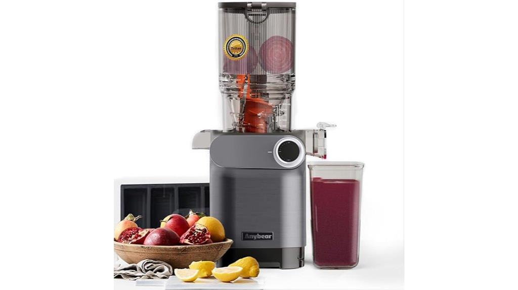 200w cold masticating juicer