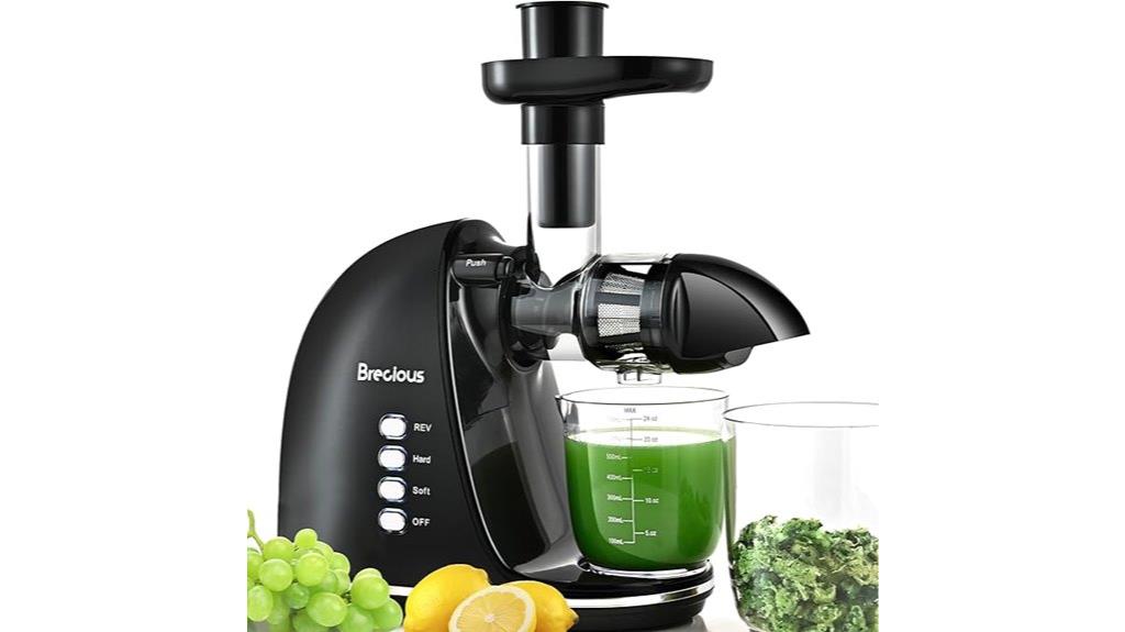 cold press juicer with two speeds
