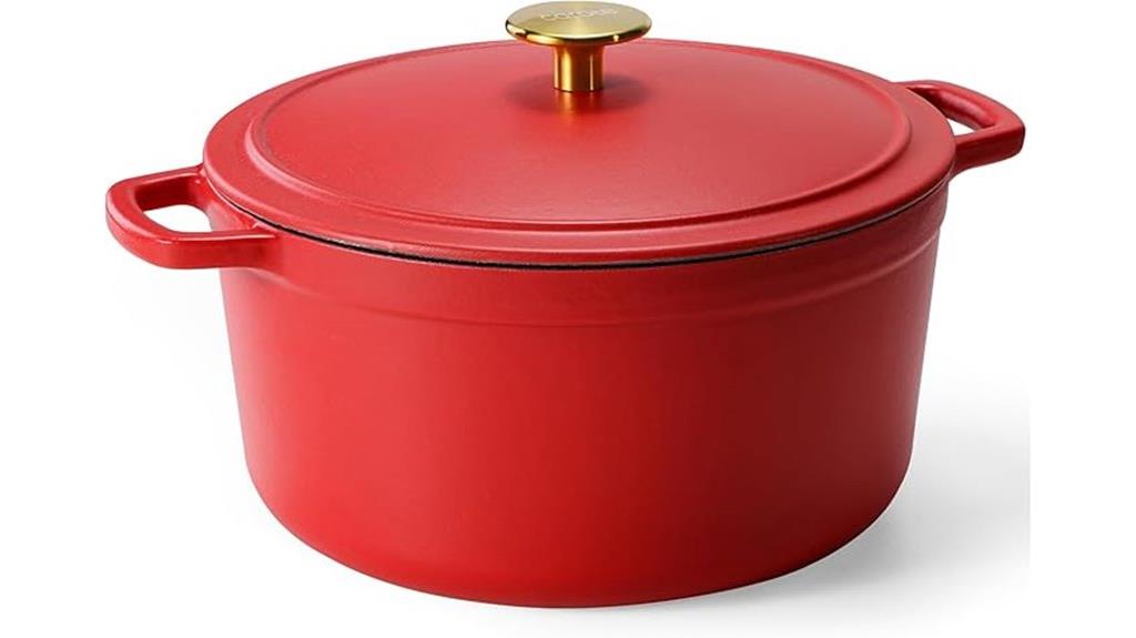 enameled cast iron dutch oven