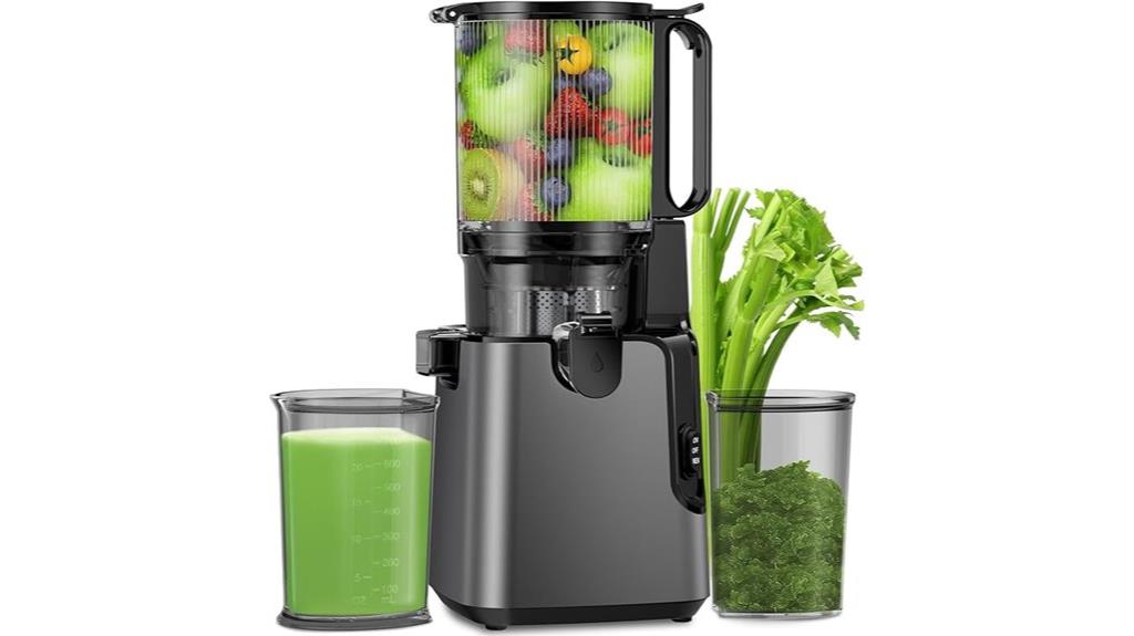 powerful juicer with large feed