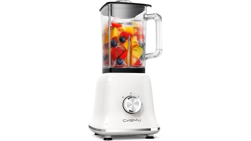 professional 58 oz blender