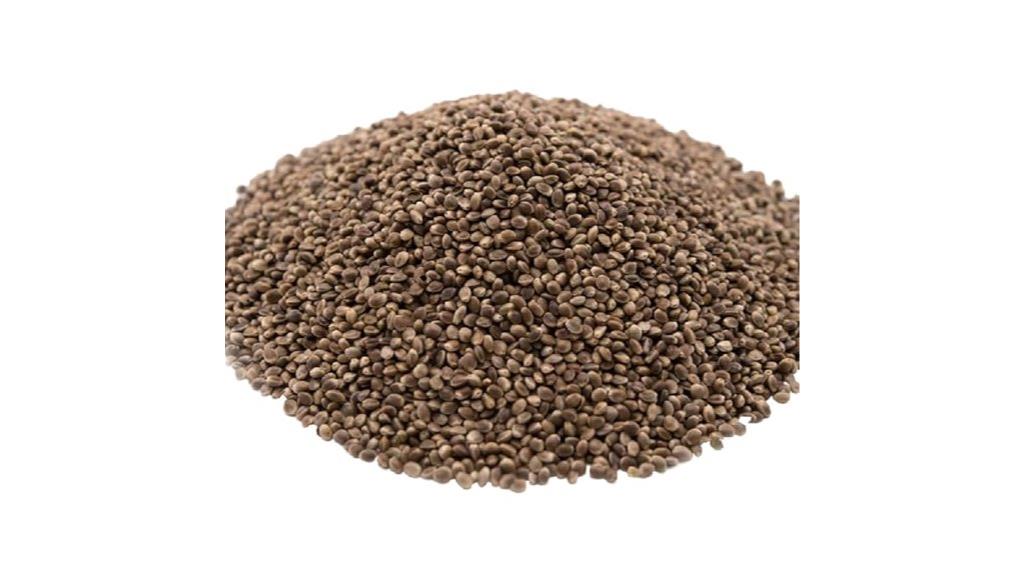 roasted unsalted hemp seeds