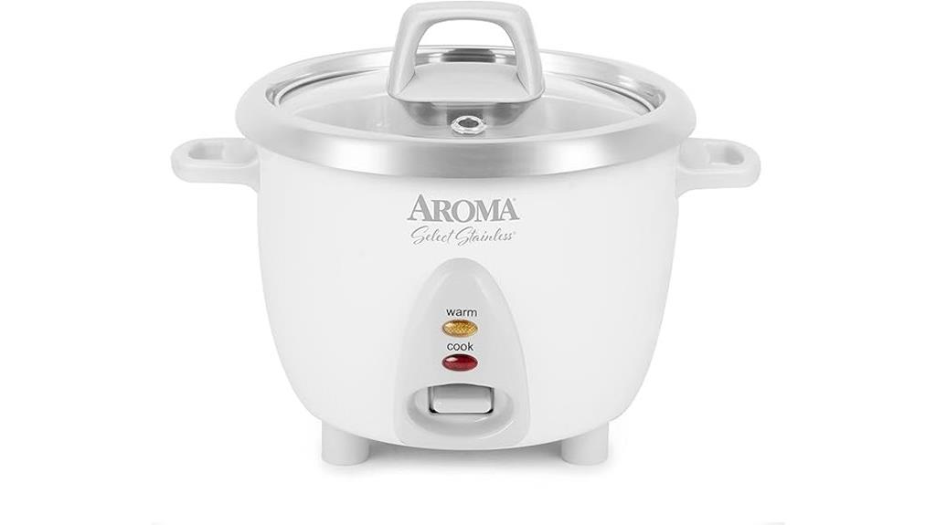 small stainless rice cooker