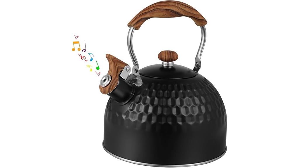 stainless steel black kettle