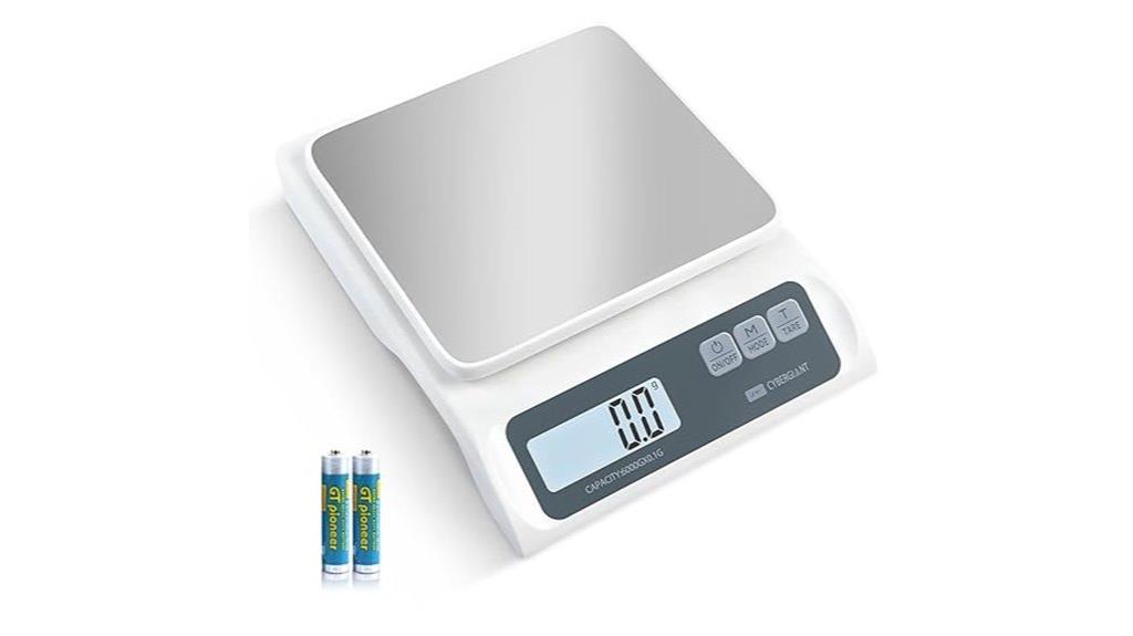 stainless steel lcd scale