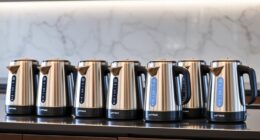 top programmable electric kettles