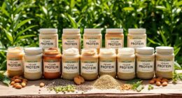 top vegan protein powders