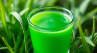 top wheatgrass juice shots
