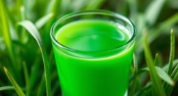 top wheatgrass juice shots