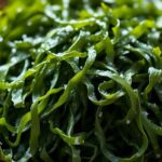 sea vegetables provide iodine