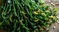seaweed replaces kale nutrition