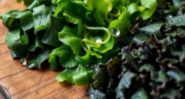 vegan iodine sources listed