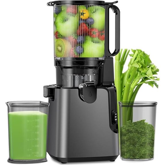 large feed chute juicer