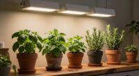 top indoor herb grow lights
