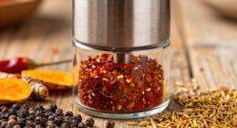 top spice grinder reviews
