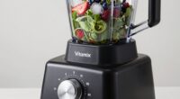 vitamix speed functions detailed