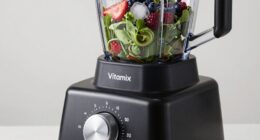 vitamix speed functions detailed