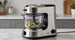 unnecessary expensive food processor
